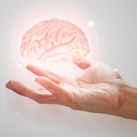 MUDr. Ingrid Meňkyová, PhD.